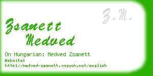 zsanett medved business card